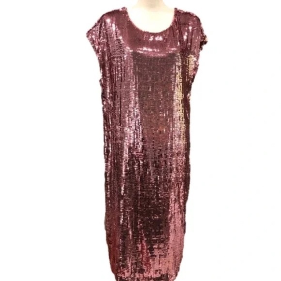 NWT Anthropologie Maeve Kara Pink Sequin Shift Dress, Size Medium - Picture 13 of 13